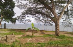 BEACH LOT IN BACONG PHILIPPINES – S O L D –