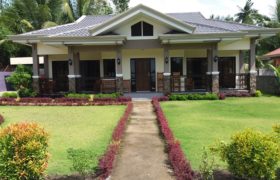 NEW CONSTRUCTION HOUSE AND LOT IN BACONG  – S O L D –