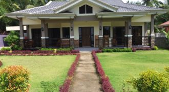 NEW CONSTRUCTION HOUSE AND LOT IN BACONG  – S O L D –