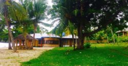 BEACH PROPERTY FOR SALE IN SIQUIJOR