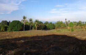 OCEAN VIEW LOT FOR SALE