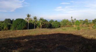 OCEAN VIEW LOT FOR SALE
