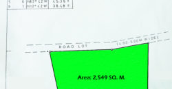 LOT IN BACONG  – S O L D –
