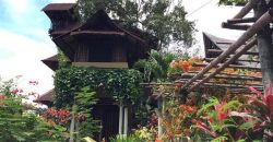 TREE HOUSE FOR RENT IN DAUIN