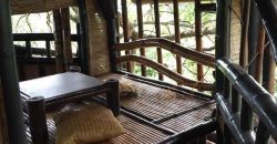 TREE HOUSE FOR RENT IN DAUIN