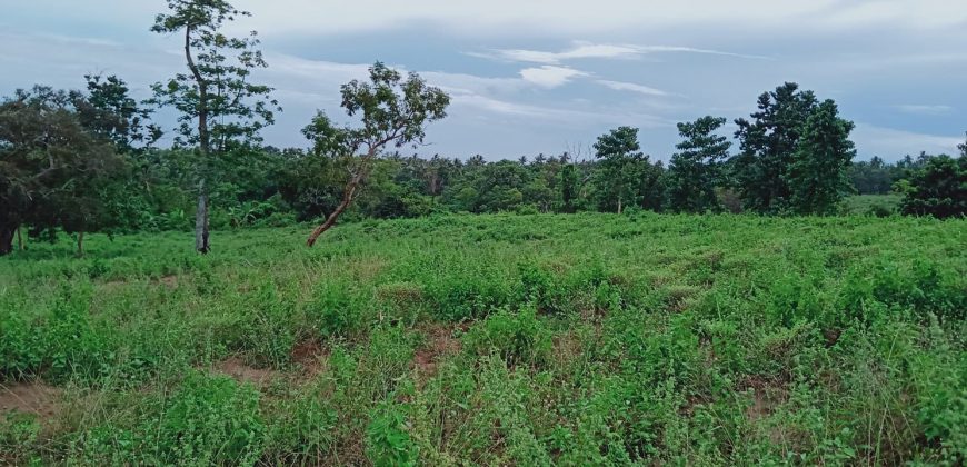 FARM LOT WITH  OVERLOOKING VIEW OF APO ISLAND