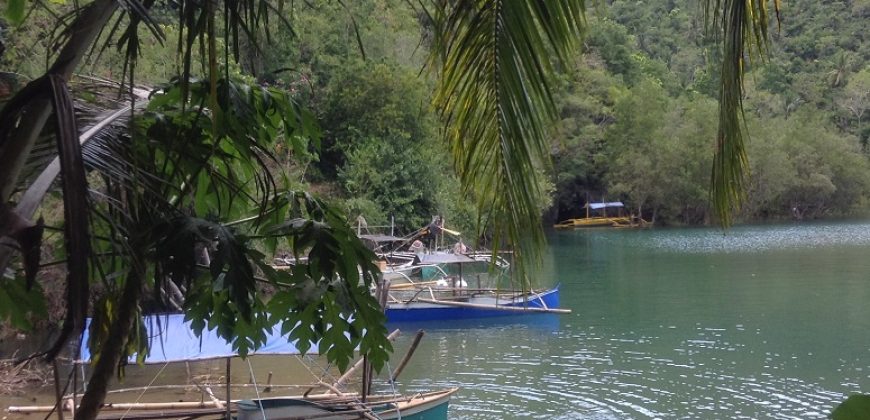 PROPERTY IN SIPALAY FOR SALE