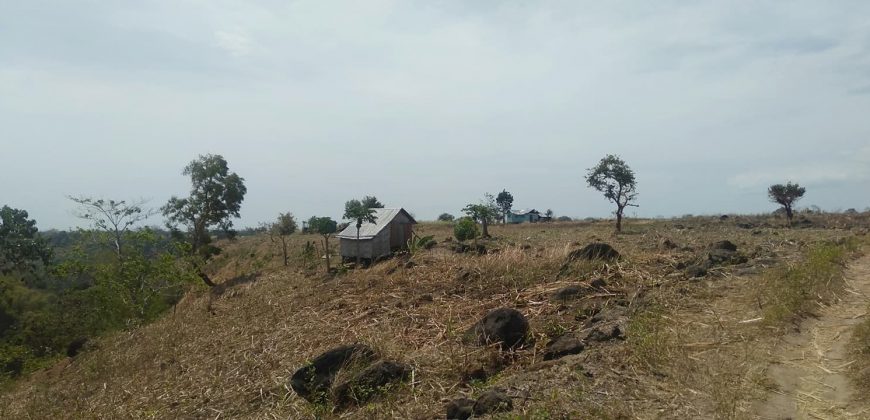 14 HECTARES FARM LAND FOR SALE