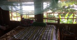 NATIVE BAMBOO HOUSE FOR RENT IN SIATION   – RENTED –