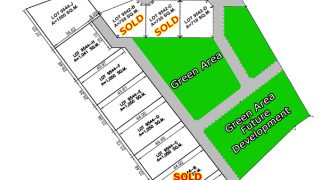SUBDIVIDED LOTS FOR SALE IN DAUIN