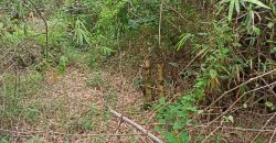 – S O L D –    AFFORDABLE LOT IN BACONG