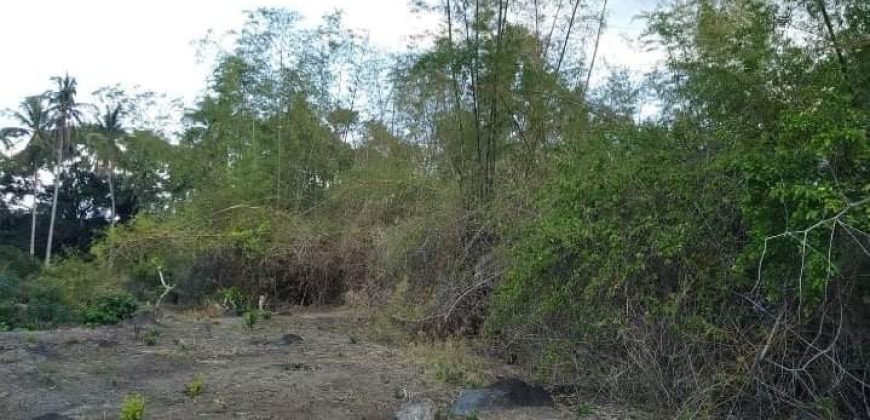 – S O L D –    AFFORDABLE LOT IN BACONG