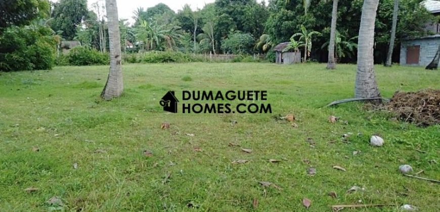 BEACH LOT FOR SALE IN DAUIN