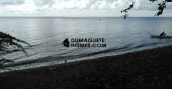 BEACH LOT FOR SALE IN DAUIN
