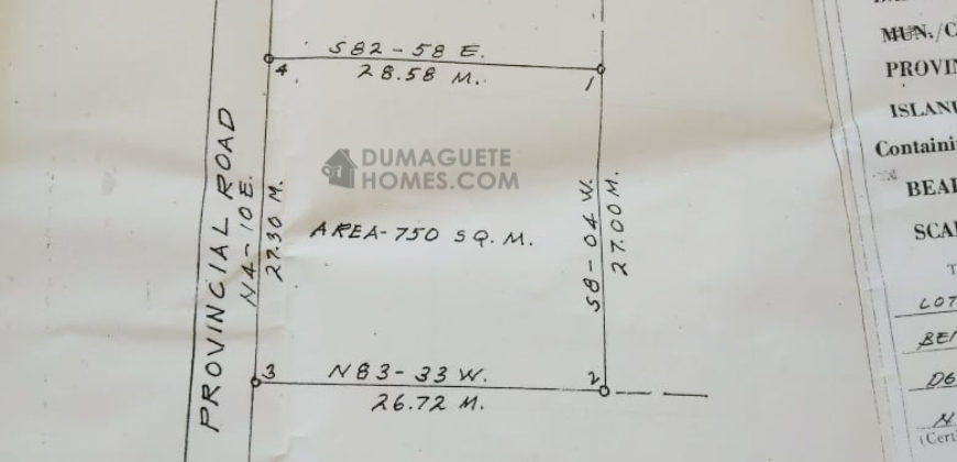 COMMERCIAL LOT FOR SALE IN DUMAGUETE