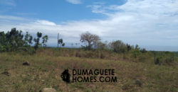 OCEAN VIEW LAND WITH MILLION DOLLAR VIEW OF APO ISLAND  ( 1.3 HECTARES )