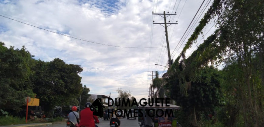 COMMERCIAL LOT FOR SALE IN DUMAGUETE
