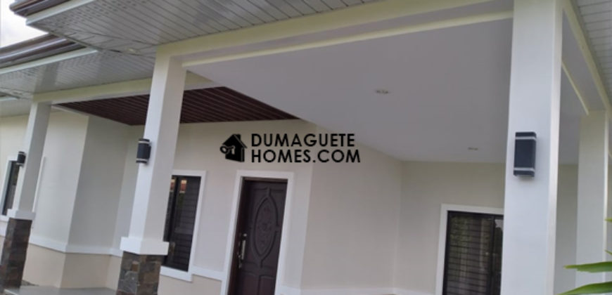 – S O L D –     NEW CONSTRUCTIOM HOME IN DUMAGUETE