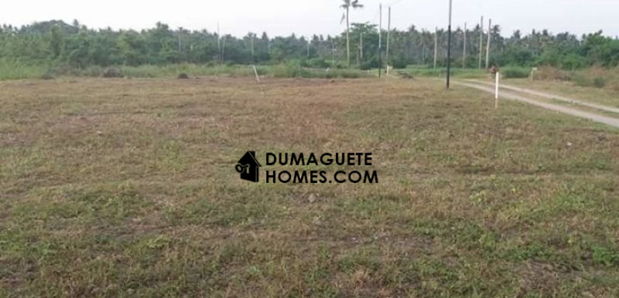– S O L D –   BUILDING LOT IN DAUIN WITH GREAT VIEW OF MOUNT TALINIS