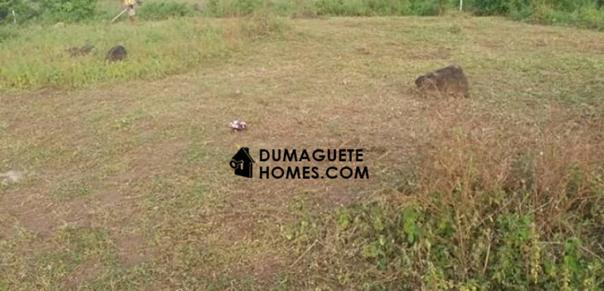 – S O L D –   BUILDING LOT IN DAUIN WITH GREAT VIEW OF MOUNT TALINIS