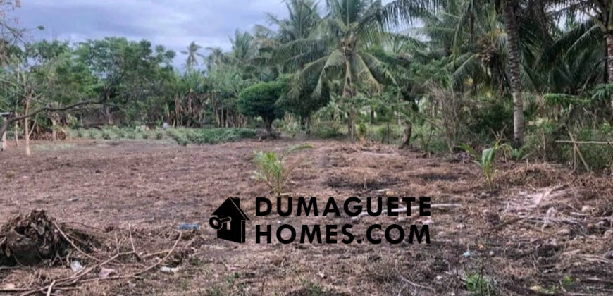 NEGOTIABLE PRICE — 2,196 SQM LOT FOR SALE