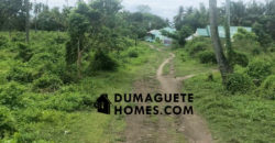 NEGOTIABLE PRICE — 2,196 SQM LOT FOR SALE
