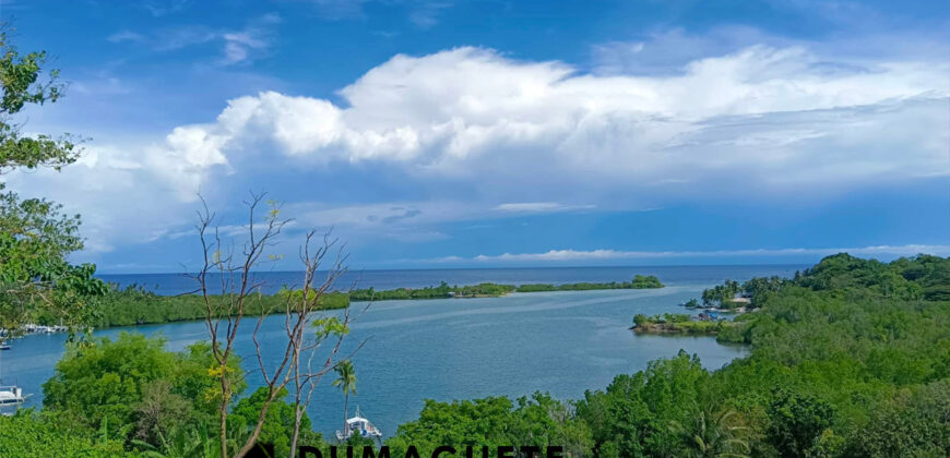 1.2 HECTARE GORGEOUS BAY PROPERTY FOR SALE