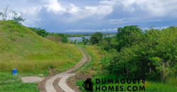 1.2 HECTARE GORGEOUS BAY PROPERTY FOR SALE