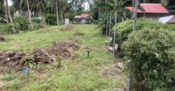 BUILDING LOT FOR SALE IN DAUIN