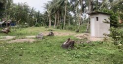 BUILDING LOT FOR SALE IN DAUIN