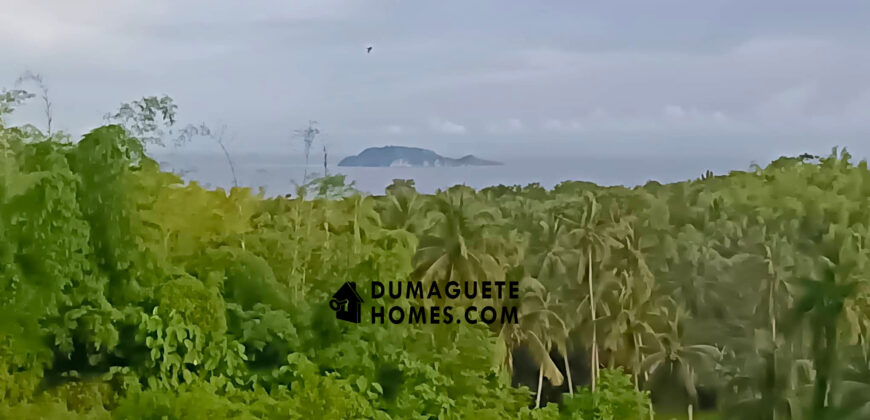 – S O L D –   1.5 HECTARE APO ISLAND VIEW FARM LAND IN DAUIN