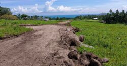 – SOLD OUT –   NEW OCEAN & MOUNTAIN VIEW SUB LOTS IN DAUIN