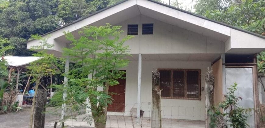 PRICE REDUCED!!   LOW COST HOME FOR SALE IN DUMAGUETE