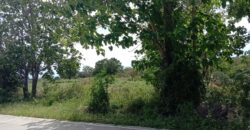 LARGE PIECE OF LAND FOR SALE IN SIATON