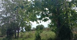 LARGE PIECE OF LAND FOR SALE IN SIATON