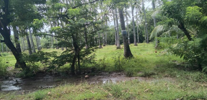 LOT FOR SALE IN SIATON NEGROS ORIENTAL WAIKING DISTANCE TO THE BEACH!!