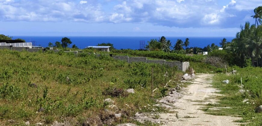 OCEAN AND MOUNTAIN VIEW BUILDING LOTS  FOR SALE LOCATED IN BUNGA DAUIN