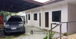 HOUSE & LOT FOR SALE IN DUMAGUETE