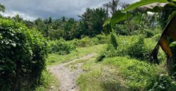 TITLED BUILDING LOT FOR SALE IN SIBULAN