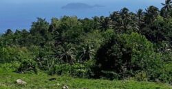 INSTALLMENT AVAILABLE!!   APO ISLAND VIEW LAND FOR SALE IN DAUIN