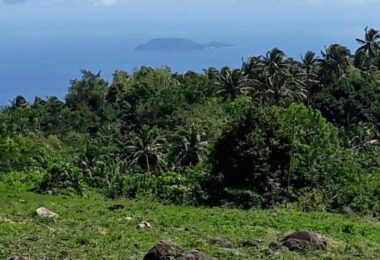 INSTALLMENT AVAILABLE!!   APO ISLAND VIEW LAND FOR SALE IN DAUIN