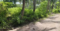 LOW COST!!    LOT FOR SALE IN DAUIN