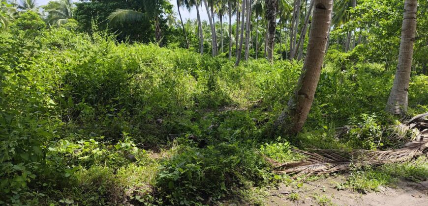 LOW COST!!    LOT FOR SALE IN DAUIN