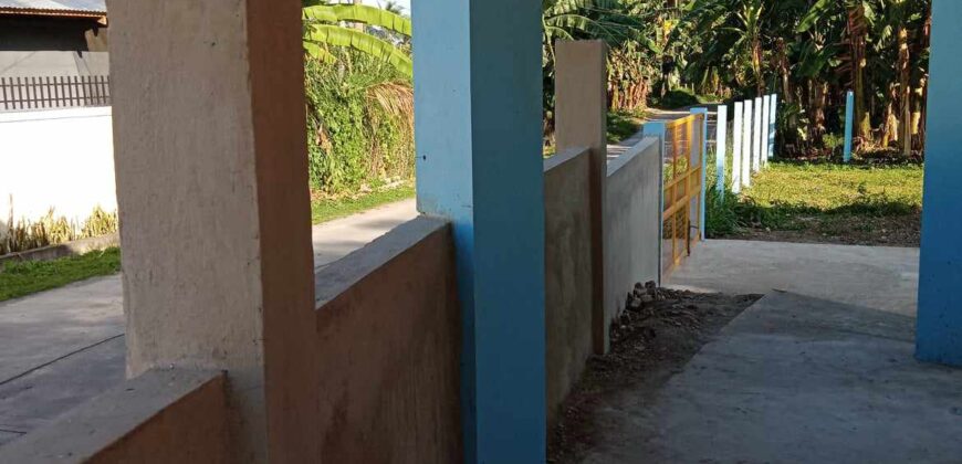 FOR SALE‼️ HOUSE & LOT IN BACONG
