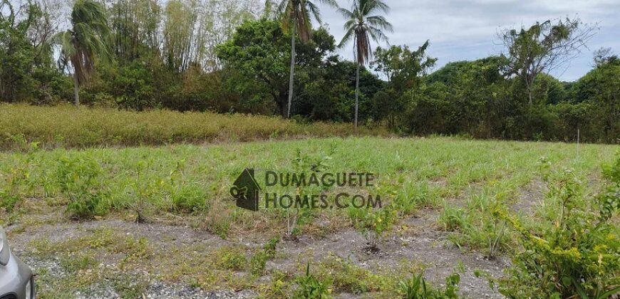 FOR SALE‼️ – BUILDING LOT FOR SALE IN DAUIN