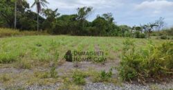 FOR SALE‼️ – BUILDING LOT FOR SALE IN DAUIN